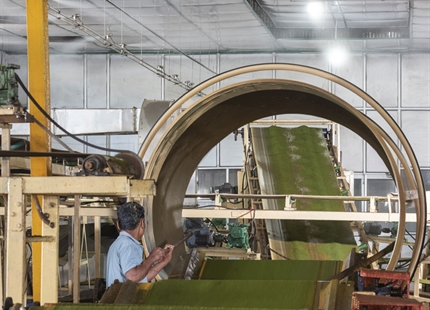 Quality tea with ideal humidity at Parmeshwari