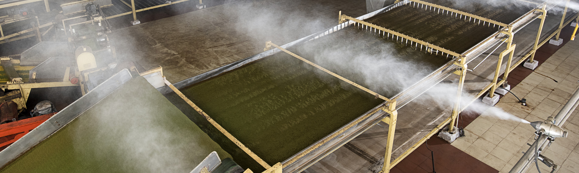 Tea production humidification & humidity control Tea production humidification & humidity control